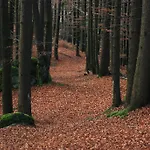 Han/Misafirhane Und Haunschmid Rechberg