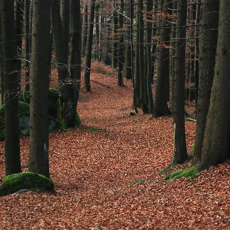 Gasthof Und Haunschmid Rechberg