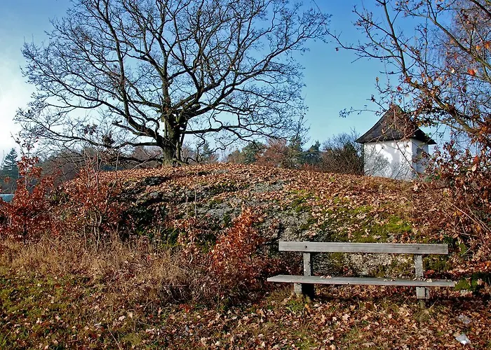 Und Haunschmid Rechberg