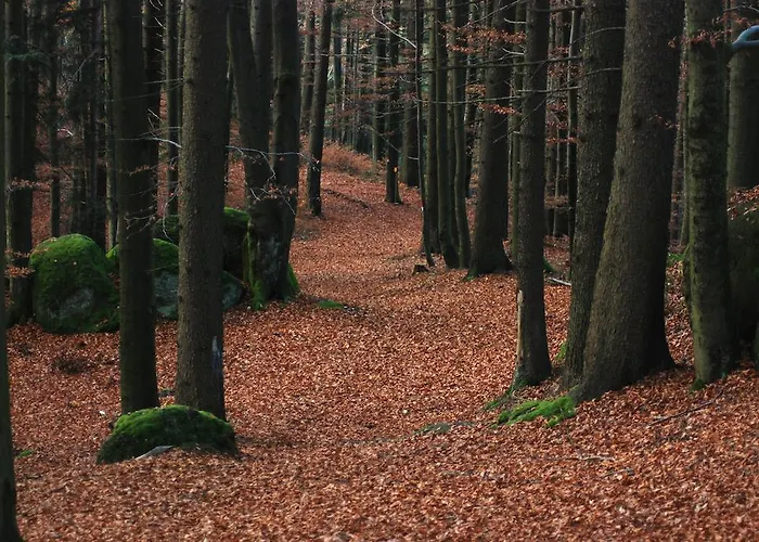 Fogadó Und Haunschmid Rechberg